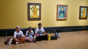 Klimaaktivisten pl&auml;dieren nach Suppenattacke auf Van-Gogh-Gem&auml;lde auf unschuldig