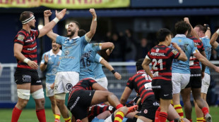 Toulouse stunned by Perpignan but stay top in France as Pau lose