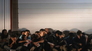 Migrant girl, 8, dies in US custody at Texas border