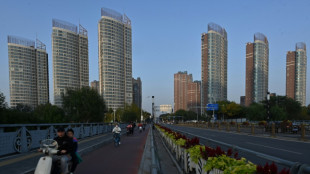 China emitir&aacute; bonos por USD 325.000 millones para impulsar la econom&iacute;a