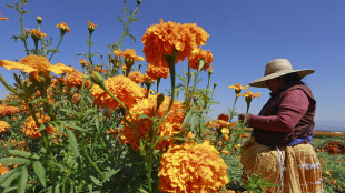 La percezione degli odori &egrave; pi&ugrave; complessa del previsto