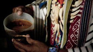 Desmantelan en Espa&ntilde;a una organizaci&oacute;n cham&aacute;nica que usaba ayahuasca colombiana