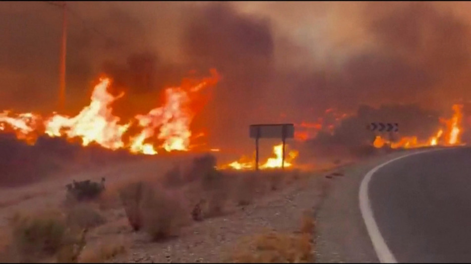 Governatore Andalusia, '12 morti e 19 persone disperse nell'incendio'