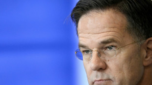 Rutte: Deutsche Führung für kollektive Verteidigung "unerlässlich"