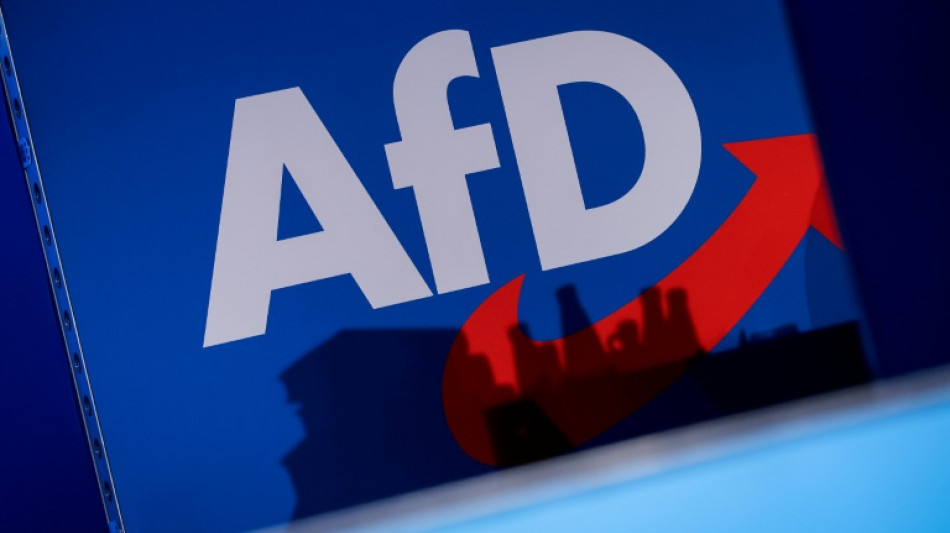 IW-Experte kritisiert Wirtschaftspolitik der AfD: "Keine Partei f&uuml;r kleine Leute"