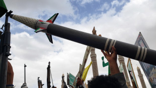 Houthi, 'attaccati Israele e due portaerei Usa'