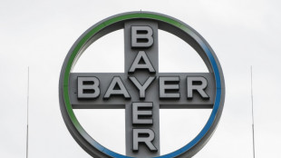 Bayer sells pest control unit for $2.6 bn