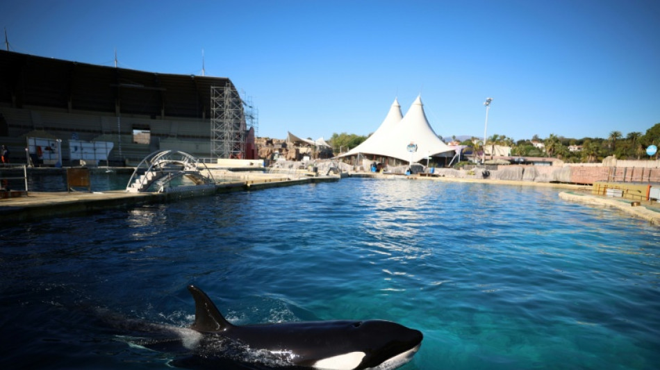 A Marineland, orques et dauphins surnagent dans un parc en d&eacute;composition