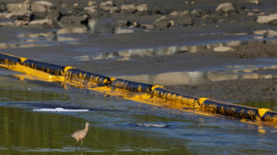 Les gestionnaires d'un ol&eacute;oduc de Californie plaident coupable apr&egrave;s une mar&eacute;e noire