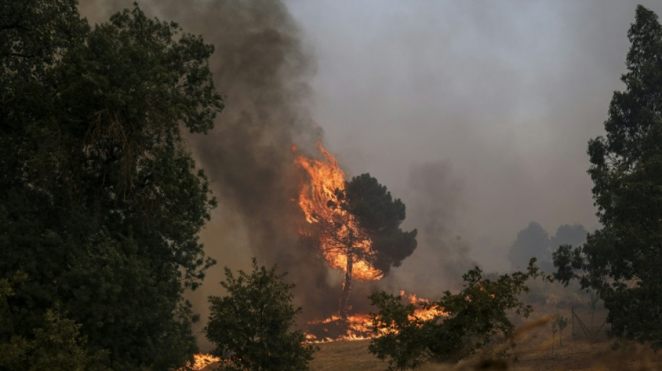 Portugal viveu o verão mais quente e seco desde 1931