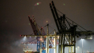Widerstandsf&auml;higer als erwartet: DIW-Forscher heben Wachstumsprognose an 