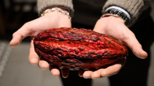 Nel cioccolato fondente una sostanza nemica dell&#039;invecchiamento