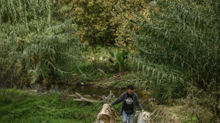 A Athènes, la lutte pour préserver des cours d'eau au milieu du béton