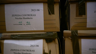 La fiscal&iacute;a pide cadena perpetua para el chileno acusado de matar a su exnovia en Francia