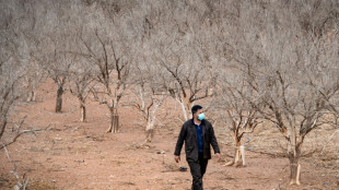 Maroc: une s&eacute;cheresse in&eacute;dite fait craindre une grave p&eacute;nurie d'eau