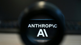 Anthropic boss calls for slowing pace of AI development