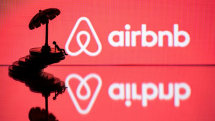 "Niche fiscale Airbnb" et outils pour les maires: le Sénat régule le marché des meublés touristiques