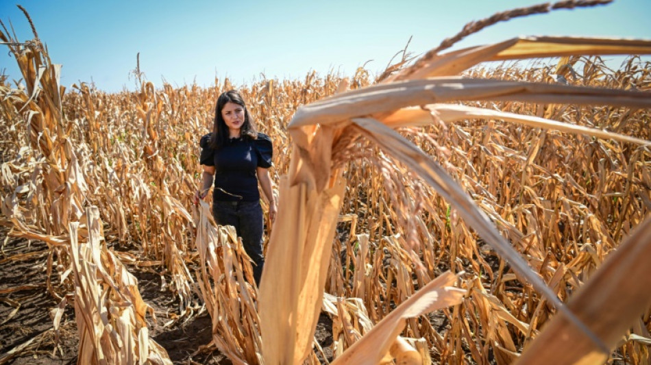 Face &agrave; la s&eacute;cheresse en Roumanie, pri&egrave;res et exp&eacute;rimentations