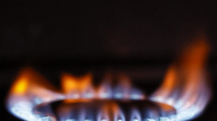 Il gas apre poco mosso ad Amsterdam (+0,1%)