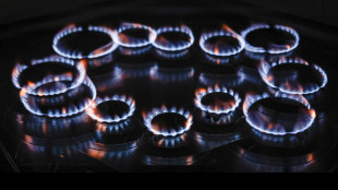 Il gas supera quota 32,5 euro sul mercato Ttf di Amsterdam