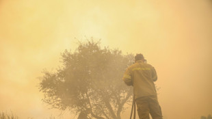 Gr&egrave;ce: incendie pr&egrave;s de Thessalonique, des centaines de touristes &eacute;vacu&eacute;s