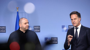 Rutte, 'Kiev nella Nato?Irrilevante sia nel testo all'Aja'