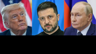 Trump sieht Treffen mit Putin als Vorbereitung für künftigen Dreiergipfel mit Selenskyj
