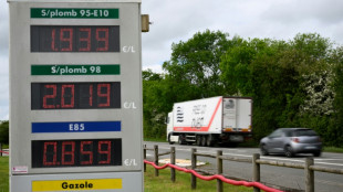 L'organisation des vacances d'&eacute;t&eacute; chamboul&eacute;e par les prix &agrave; la pompe