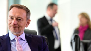 Lindner will im Februar erste Vorschl&auml;ge f&uuml;r St&auml;rkung des Wirtschaftsstandorts