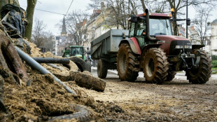 Bauern protestieren in Frankreich und Gro&szlig;britannien 
