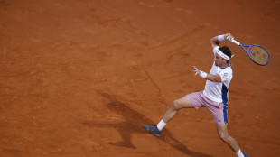 Ruud 'Sinner la cosa più vicina alla perfezione che abbia visto'