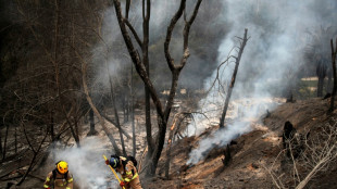 El cambio clim&aacute;tico no fue determinante en los incendios en Chile (estudio)