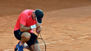 Tennis: Lajovic remporte le titre &agrave; Banja Luka au bout d'une semaine de r&ecirc;ve
