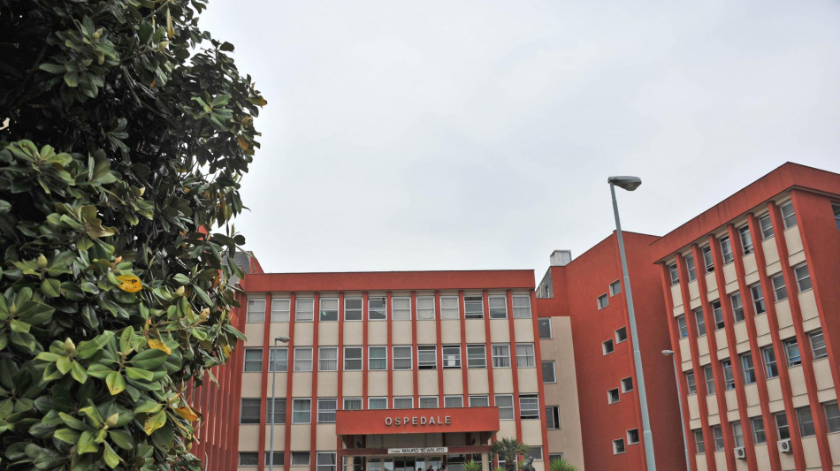 Bimbo di 13 mesi azzannato dal pitbull di casa, non &egrave; in pericolo di vita