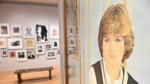 Bufera su fondazione legata a nome Diana, Harry si dimette