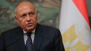 Egypt FM to head to Turkey, Syria for first time in decade
