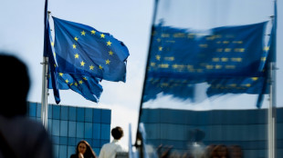 Zone euro: le taux de ch&ocirc;mage stable en f&eacute;vrier &agrave; 6,6%