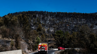 Estabilizado el gran incendio que quem&oacute; miles de hect&aacute;reas en oeste de Espa&ntilde;a